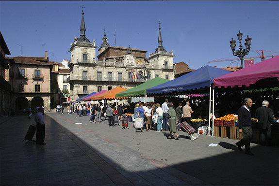 Mercado Plaza Mayor